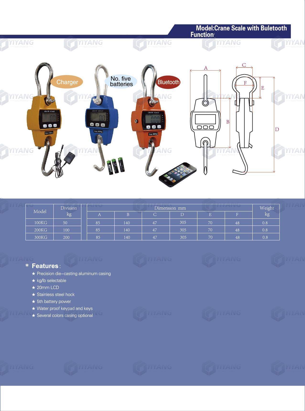 Bluetooth&LCD Crane Scale